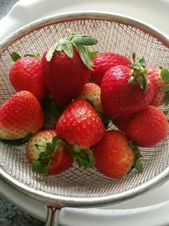 苺の冷凍保存法-レシピのメイン写真