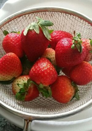 苺の冷凍保存法-レシピのメイン写真