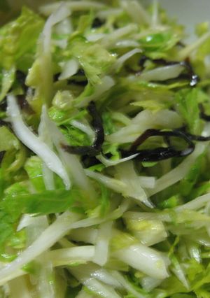 セロリと塩昆布のサラダ-レシピのメイン写真