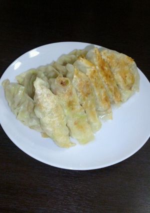 餃子～ネギ～-レシピのメイン写真