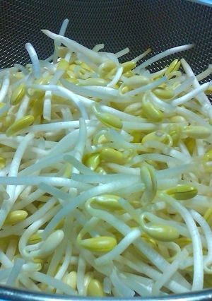 大豆もやしの茹で方-レシピのメイン写真
