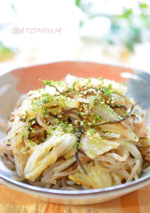白菜と糸蒟蒻の簡単♪ヘルシー♡塩昆布炒め-レシピのメイン写真
