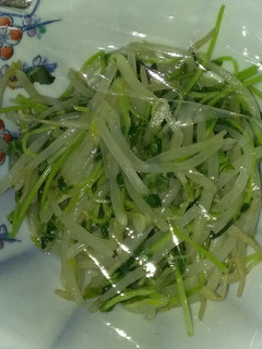 もやしと豆苗をモリモリ-レシピのメイン写真