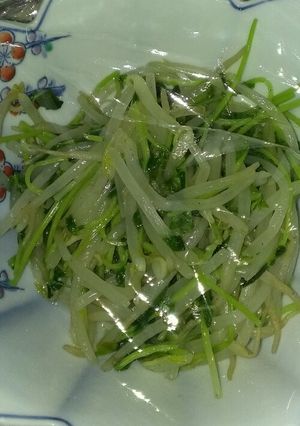 もやしと豆苗をモリモリ-レシピのメイン写真