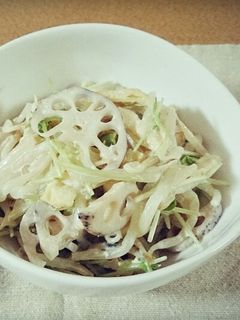シャキシャキ*蓮根もやしサラダ-レシピのメイン写真
