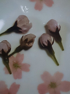 桜の花の塩漬け-レシピのメイン写真