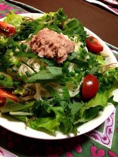 暑い夏に!サラダ麺-レシピのメイン写真
