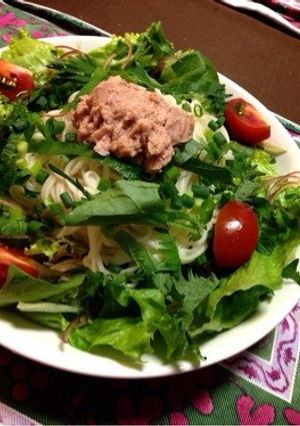 暑い夏に！サラダ麺-レシピのメイン写真