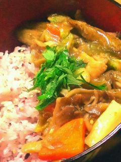 とろホク!鶏と根菜の生姜あんかけ丼-レシピのメイン写真