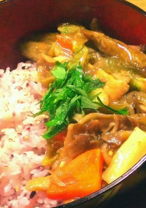 とろホク！鶏と根菜の生姜あんかけ丼-レシピのメイン写真