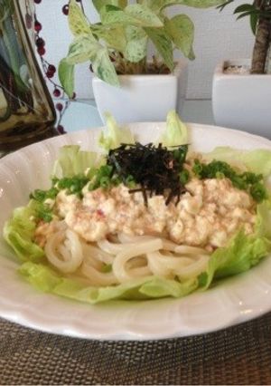 冷凍うどん＋豆腐で簡単節約おひる-レシピのメイン写真