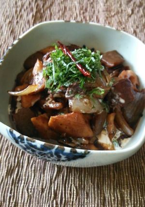 缶つま×三河の味★牛肉のバルサミコ煮味噌-レシピのメイン写真