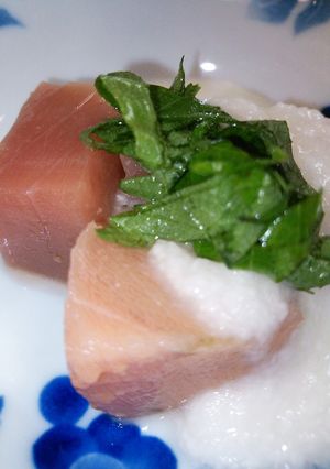長いもとマグロのとろろ鉢-レシピのメイン写真