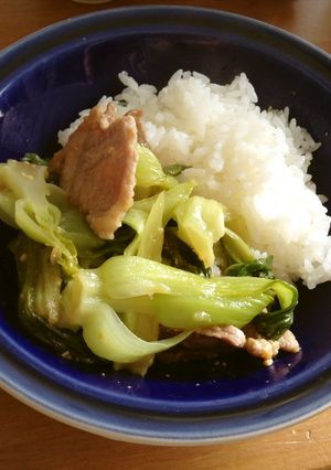 青梗菜と豚肉のかんたん！甘味噌どんぶり-レシピのメイン写真