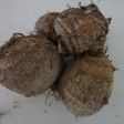 里芋の皮のむき方