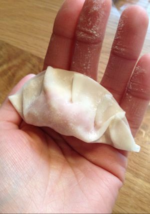 餃子の包み方のコツ！-レシピのメイン写真