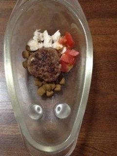 犬用 野菜ハンバーグ★-レシピのメイン写真