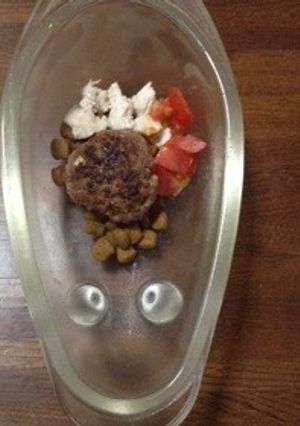 犬用 野菜ハンバーグ★-レシピのメイン写真