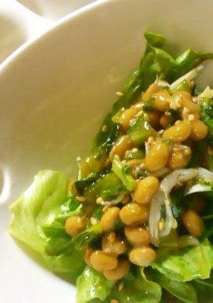 納豆とニラなどなど…とレタスのサラダ-レシピのメイン写真