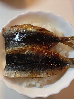鰯の蒲焼丼-レシピのメイン写真