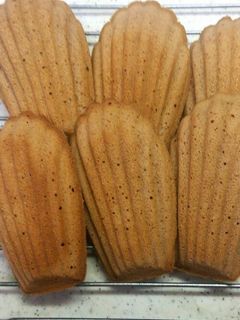 チョコレートのマドレーヌ風プチケーキ-レシピのメイン写真