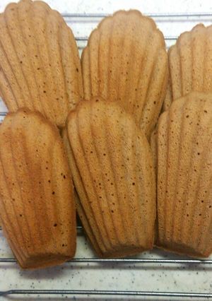 チョコレートのマドレーヌ風プチケーキ-レシピのメイン写真