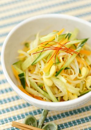 ちょっぴりピリ辛大豆もやしのナムル-レシピのメイン写真