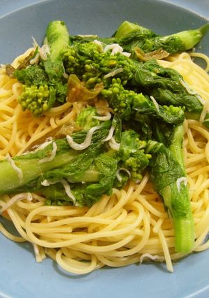 菜の花としらすの柚子胡椒風味の春パスタ-レシピのメイン写真