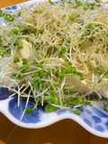 ポン酢でさっぱり♪スプラウトの豆腐サラダ