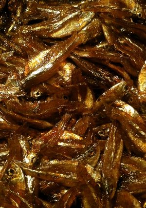 乾物小魚でくぎ煮／甘露煮　佃煮＠メキシコ-レシピのメイン写真