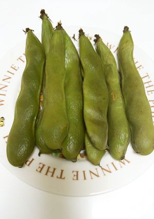 そら豆のトースター焼き-レシピのメイン写真