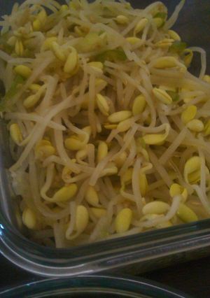 大豆もやしのナムル-レシピのメイン写真
