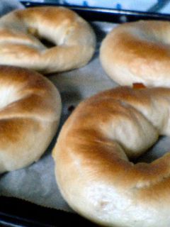 マンゴーベーグル-レシピのメイン写真