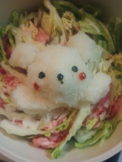 大根おろしアートの豚白菜鍋☆-レシピのメイン写真