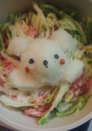 大根おろしアートの豚白菜鍋☆-レシピのメイン写真