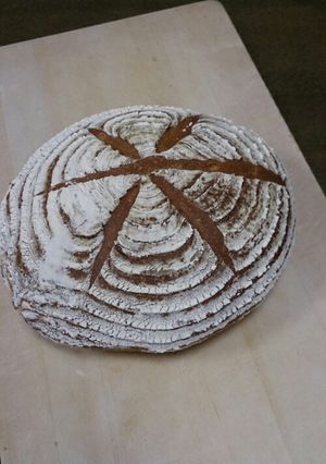 HBで作る天然酵母のカンパーニュ-レシピのメイン写真