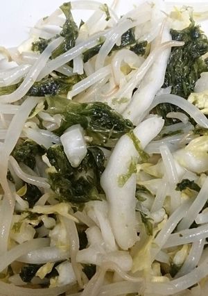 白菜ともやしとあおさのサラダ-レシピのメイン写真