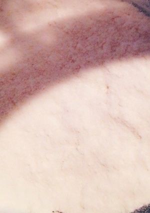 手作り粉砂糖,米粉の作り方♡ミルサー使用-レシピのメイン写真
