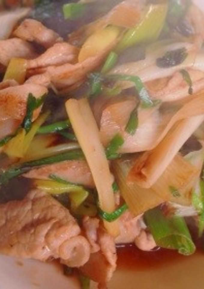 豚肉、ニラ、ネギの生姜焼き風炒め-レシピのメイン写真