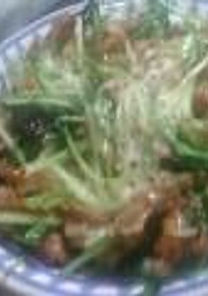 豚肉と水菜のめんつゆ炒め-レシピのメイン写真
