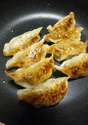 自分の家の餃子-レシピのメイン写真