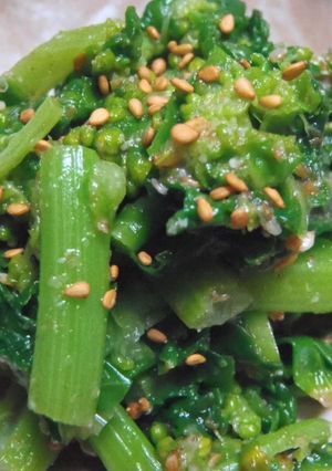 白菜の菜の花で…胡麻あえ-レシピのメイン写真