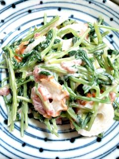 豆苗の梅マヨ和え-レシピのメイン写真