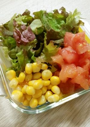さっぱり！野菜の盛り合わせサラダ-レシピのメイン写真