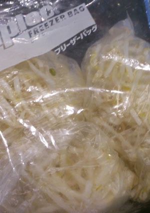 ★もやしの冷凍保存★もやしも長生きッ☆-レシピのメイン写真