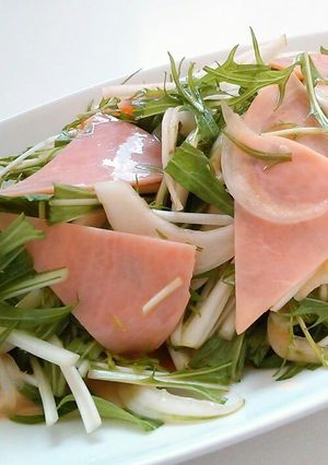 新玉ねぎと水菜のサラダ-レシピのメイン写真