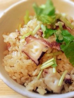 たこ飯-レシピのメイン写真