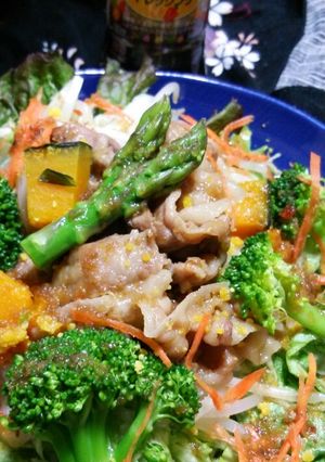CO・OP野菜たっぷり和風ドレッシング丼-レシピのメイン写真
