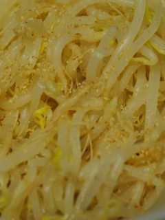 もやしのナムル-レシピのメイン写真