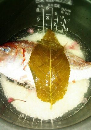 *桜香る花鯛の炊き込みご飯*-レシピのメイン写真